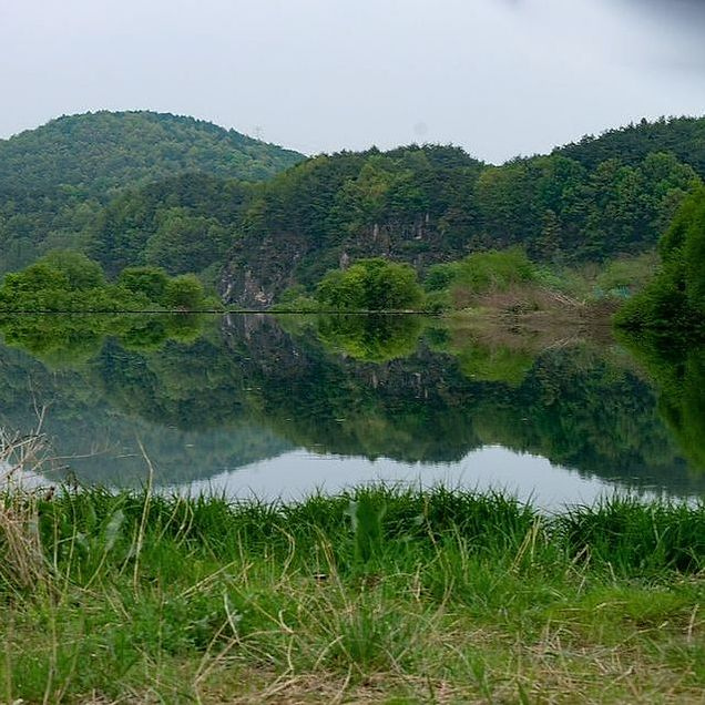 দল সদস্যের ছবি