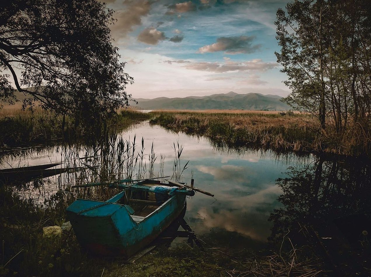 মৎস্য স্থান অপ্টিমাইজেশন প্রকল্প